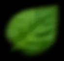 leaf-shape